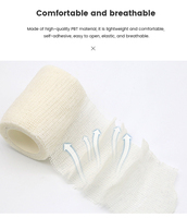 Bandage élastique flexible auto-adhésif respirant à la chlorhexidine jetable LTB Marque 2,5 cm X 4 m Unisexe