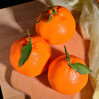 Verse Zoete Mandarijn Oranje Citrusvruchten Sinaasappelen En Mandarijnen Fruit