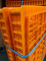 Caisses de transport pour poulets vivants Berys 75x55x29cm, type H, cages en plastique pour animaux, neuves, capacité 10-12 poulets, longue durée de vie