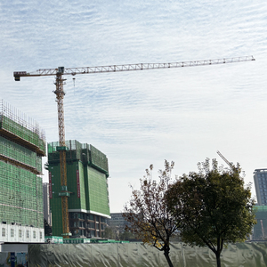 Grue à tour <span class=keywords><strong>de</strong></span> construction portable <span class=keywords><strong>de</strong></span> 10 tonnes QTZ200 H7015A, grue à tour à toit plat avec certification CE ISO, fournisseur - Product Image 5