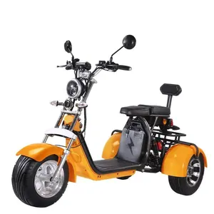 hot sale for wholesale EEC Approved 3 Wheel Electric Tricycles Adults Citycoco Scooter Motorcycle