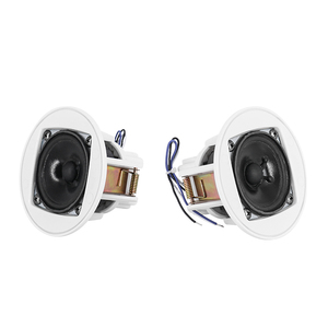 Loa Pa Gắn Trần 1.5W 3W 6W 3Inch Loa Hệ Thống PA Sản Xuất Loa Gắn Trần Mini Không Khung Thụ Động - Product Image 3