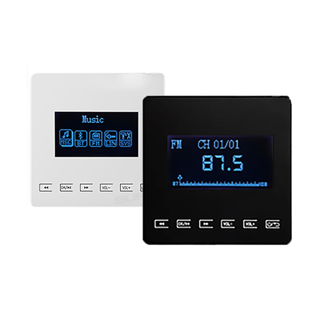 Mini Professional Amplifier Smart Home Stereo for Bluetooth Cinema Theater Sound System In-Wall PA Speaker