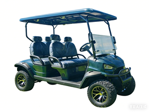 Voiturette de golf électrique confortable 6 places de haute qualité à prix abordable, en promotion - Product Image 2