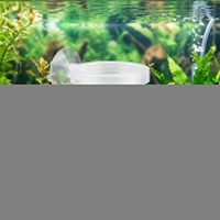 Distributeur de nourriture pour poissons en forme de cône, en plastique, avec ventouses pour aquarium