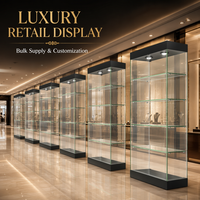 Vitrine de présentation en verre sans cadre robuste pour bijouterie, éclairage LED, structure démontable personnalisable pour le luxe et le shopping haut de gamme