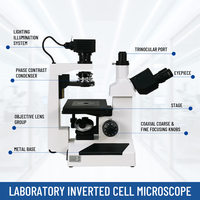 37XB Trinocular Inverted Biological Microscope Manual Focus 40X-400X Research Grade Phase Contrast for Cell Culture Lab