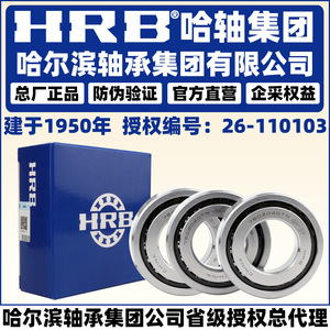 Rodamiento de rodillos esféricos Hrb 7602030 7602035 Tn P5 Triple Pair con sello de goma para uso industrial - Product Image 2
