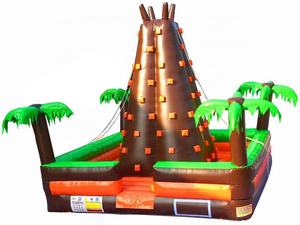 Tour d'escalade gonflable de Jungle/palmier/mur d'escalade gonflable de singe - Product Image 2