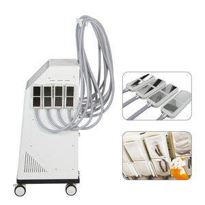 Prix Promotionnel : Appareil Portable 2-en-1 de Cryothérapie 360° pour Réduction de la Graisse et Amincissement du Visage, avec 8 Pièces à Main en Métal ABS pour Double Menton - Product Image 4