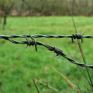 Fil de fer barbelé en acier galvanisé à haute résistance, clôture en treillis anti-escalade, fil d'acier de 1,8 mm, rouleaux de 25 kg pour la sécurité et l'isolation des entrepôts - Product Image 2
