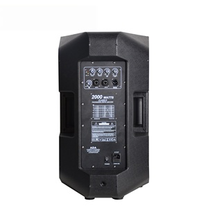 Độ Chính Xác Pro Âm Thanh Cau15ada 500W Rms 2-Cách Bi-Khuếch đại Hệ Thống 15 Inch Loa Chuyên Nghiệp Hoạt Động Powered Loa - Product Image 5