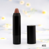 Lipstick Matte Set Matte Bullet Lipstick Matte Lipstick Own Brand Private Label