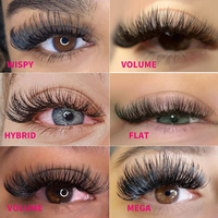 Plateaux d'Extensions de Cils en Cachemire 0.02 0.03 0.05 Noir Mat Premium Vente en Gros de Plateaux de Cils Volume