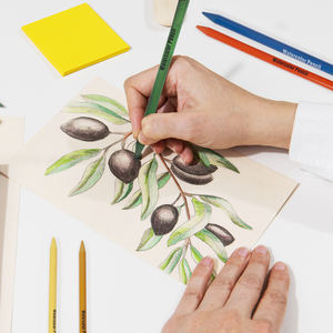 Plusieurs styles disponibles Pigments de haute qualité Lisse Laydown Mélange facile 24 couleurs Soluble à l'eau Set de crayons sans bois pour l'art - Product Image 6