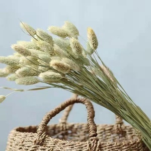 Ramo <span class=keywords><strong>de</strong></span> flores secas naturales para decoración del hogar y boda, 2023 unidades, gran oferta - Product Image 3