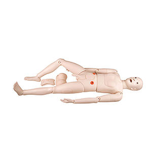 Simulateur de mannequin multifonctionnel NS6001 pour la formation médicale de base en soins infirmiers (modèle masculin) - Product Image 2