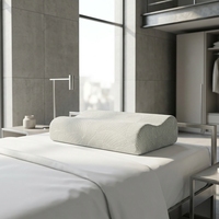 Oreiller cervical en mousse à mémoire de forme, oreiller de relaxation et de soutien, conçu pour l'alignement de la colonne vertébrale, oreiller de lit OEM