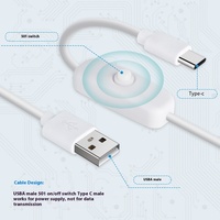 Cable de carga USB extendido de fábrica de 1,2 M a tipo C con interruptor de encendido y apagado para cable de lámpara Led