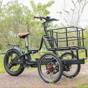 <span class=keywords><strong>Vélo</strong></span> <span class=keywords><strong>cargo</strong></span> <span class=keywords><strong>électrique</strong></span> rétro pour familles, vente directe d'usine, tricycle <span class=keywords><strong>électrique</strong></span> pour 1 personne, 500w 750w, vélos <span class=keywords><strong>cargo</strong></span> <span class=keywords><strong>électrique</strong></span>s - Product Image 1