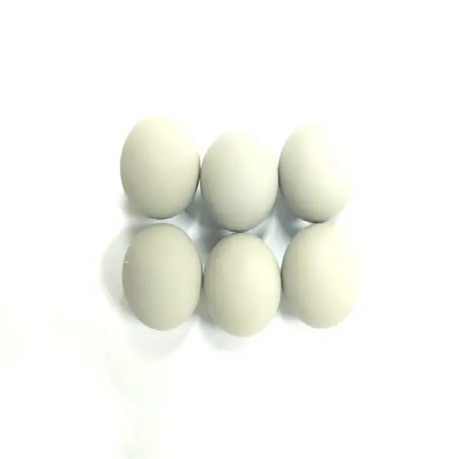 15mm High Precision Silicone Coated Steel Ball Used Computer Mouse Rubber Plastic Hard Solid Coated Steel Balls
