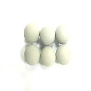 15毫米高精度硅涂层钢球使用电脑鼠标橡胶塑料硬质固体涂层钢球