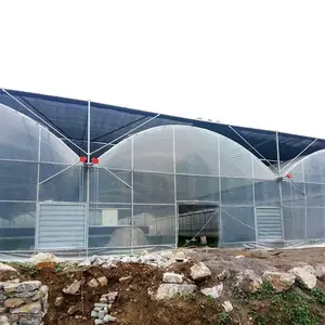 Película plástica Multi-Span Po Film Invernadero Marco de acero para verduras