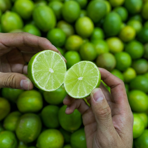 Limones Verdes Frescos, Cítricos, Tamaño 4.5-6CM, Paquete de 10kg, Grado HACCP, Certificación ISO, Origen Vietnam/Hazel VDELTA Ms. Hazel - Product Image 1