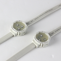 Lumière LED numérique pleine couleur 12V 30mm DMX512/UCS512 SMD3535 Points lumineux IP67 pour application paysagère Corps en PC