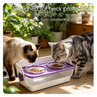 Ensemble de gamelles surélevées anti-vomissement BLUEWORTH, gamelles doubles orthopédiques surélevées pour chats âgés avec base imperméable