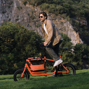Bicicleta Eléctrica con Motor sin Escobillas, Batería de Litio 36V250W, Cuadro de Aluminio, Disponible en Nuestro Almacén de la UE - Product Image 2