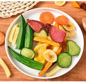 Haushalts- und Gewerbe-Gefriertrockner aus Edelstahl, 4-6 kg, mit Pumpe und Motor - Airwoods Mini-Gefriertrocknungsmaschine - Product Image 5