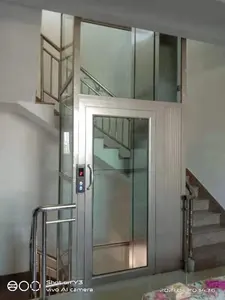 계단 핸디캡 샤프트 없는 승객 개인 빌라 휠체어 엘리베이터 2 층 소형 리프트 엘리베이터
