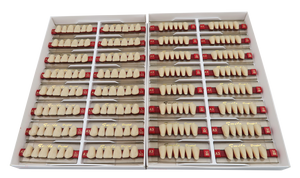 Dental Synthetic Anterior Teeth 26 Colors Front <b>Denture</b> Teeth Two Layer 6x1 - Product Image 2