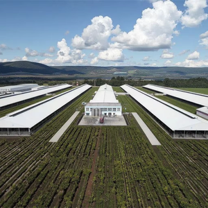 Vorgefertigte leichte Stahl konstruktion Kuh schwein Huhn Pferd Ziege Schuppen Bauernhaus Scheune Geflügel zucht Stabiles Gebäude Design - Product Image 1