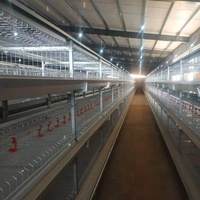 Cage à poulets de type h à poussée et à traction personnalisée