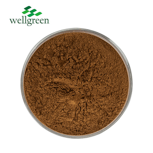 Extracto de hongo melena de León en polvo Extracto de <span class=keywords><strong>Hericium</strong></span> <span class=keywords><strong>Erinaceus</strong></span> Polisacáridos 30% Extracto de <span class=keywords><strong>Hericium</strong></span> <span class=keywords><strong>Erinaceus</strong></span> de alta calidad - Product Image 3