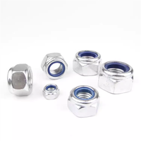M2 M2.5 M3 M3.5 M4 M5 M6 M8 M10 M12 M16 304 acier inoxydable hexagone hexagone Nylon Insert autobloquant écrou Nylock écrou Locknu