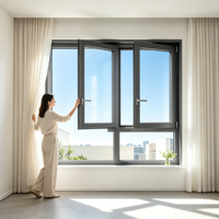 Ventana Abatible de Aluminio con Vidrio Simple, Diseño de Reequipamiento Rentable, Templada para Edificios Residenciales y Comerciales