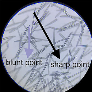 قناع طين متعدد الوظائف لإزالة البقع الداكنة من الإسفنج الحيوي وميكرونيدل مسام جل للوجه يتقلص تجميد مسحوق الفواكه المجففة - Product Image 3