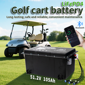 Batteria LiFePO4 a Stato Solido per Golf Cart 51.2V 100Ah 105Ah con BMS Intelligente <span class=keywords><strong>EVA</strong></span>, 3000+ Cicli, Impermeabile IP65, Caricabatterie Personalizzabile - Product Image 2