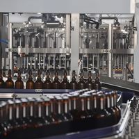 Fournisseur de ligne de production automatique de remplissage de bouteilles en verre pour spiritueux et vins sur mesure OEM