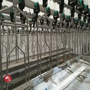 500BPH to 10000BPH Halal Chicken Abattoir Slaughter Line Machine Poultry Slaughtering Equipment
