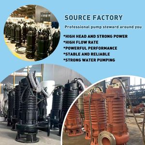 WQ <b>Submersible</b> Sewage <b>Pump</b> Solid Handling 80mm Cast Iron Electric Dirty Water <b>Pump</b> for Construction Site Wastewater - Product Image 2