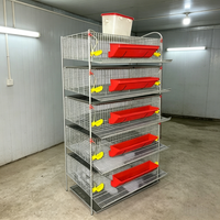 Cage à Cailles Commerciale Type H Durable pour la Gestion Moderne de la Volaille en Ferme – Cages Écologiques pour la Production d'Œufs