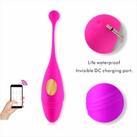 Vibrateur portable télécommandé par application, Dildo sans fil, Jouet sexuel féminin, Jouets sexuels pour adultes, Vibrateur œuf pour culotte