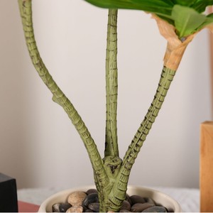 Planta Artificial con Tacto Realista, Flor de Lirio de Tres Tallos en Maceta, Decoración para Sala de Estar, Comedor, Hogar, <span class=keywords><strong>Agave</strong></span> Biónico - Product Image 2