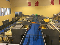 Efficiënte Sinaasappelschiller Machine Fruitgroente Schilmachine