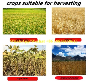 Bán Hot Mini Kết Hợp Harvester Cho Paddy Lúa Mì/Giá Rẻ Đậu Nành Máy Thu Hoạch Gạo/Cao Nguyên Lúa Mạch Đậu Nành Harvester Reaper - Product Image 6