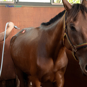 Máquina <span class=keywords><strong>de</strong></span> Terapia Láser Veterinaria <span class=keywords><strong>de</strong></span> Clase IV <span class=keywords><strong>de</strong></span> 810nm y 980nm Avanzada para Alivio del Dolor en Mascotas, Cuidado Postoperatorio - Product Image 6